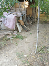 IMG-20260728-WA0001.webp