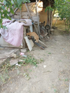 IMG-20260728-WA0000.webp