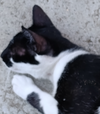 1785343578938.webp