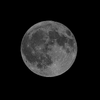 1000322052.webp