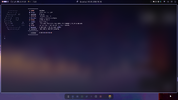 1786173430513.webp