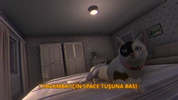 He Followed Me Calypso3.webp