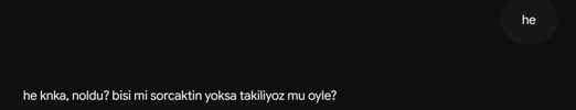 1786302927923.webp