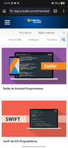 Screenshot_20260810_222301_Chrome.webp