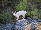 1000325792.webp