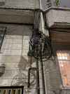 IMG_4835.webp