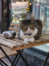 IMG_20260819_114907.webp