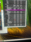 tmdlosvo.webp