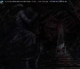 1787339178349.webp