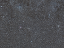 1000329136.webp