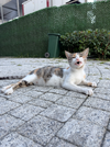 IMG_1917.webp