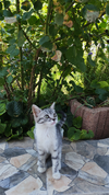 IMG_20260824_114430.webp