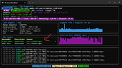 WindowsTerminal_jmxloIch9g.webp