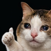 1788498467883.webp