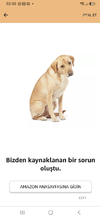 1788737554777.webp