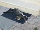 20260908_170247.webp
