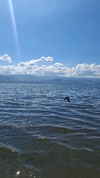 20260924_124946.webp
