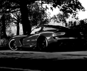 viperbw.webp