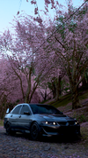 172813.webp