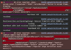1.webp