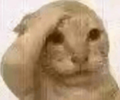 1792093791551.webp
