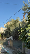 IMG-20261023-WA0022.webp