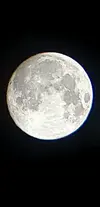 moon.webp