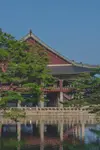 pexels-yena-kwon-12144352.webp
