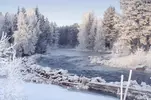Kış.webp