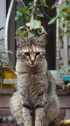 a36008e21ee3356b168314e9c65d298029ca3dd4.webp