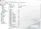 Capture.webp