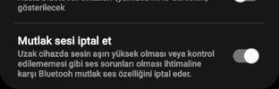 Screenshot_20240417_183050_Settings.webp