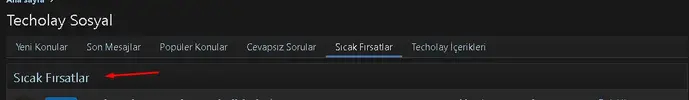 11.webp