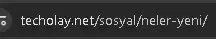 aaaa.webp