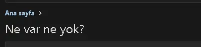 dddddd.webp