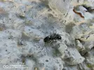 IMG_20240611_174845.webp