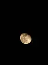20231031_204418.webp