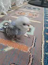 20240706_221312.webp