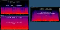 FLAC vs mp3.webp