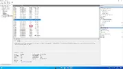 1704393696219.webp