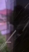 VideoCapture_20240730-235750.webp