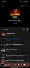 Screenshot_20240816_170424_Samsung Music.webp