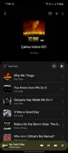 Screenshot_20240816_170432_Samsung Music.webp