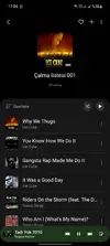 Screenshot_20240816_170435_Samsung Music.webp