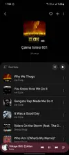 Screenshot_20240816_170438_Samsung Music.webp