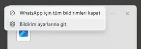 Screenshot_1.webp