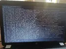1726319703659..webp
