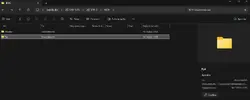 bios4.webp