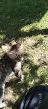 IMG20240925124915.webp