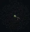 Path of Exile 2_Skill Tree.webp